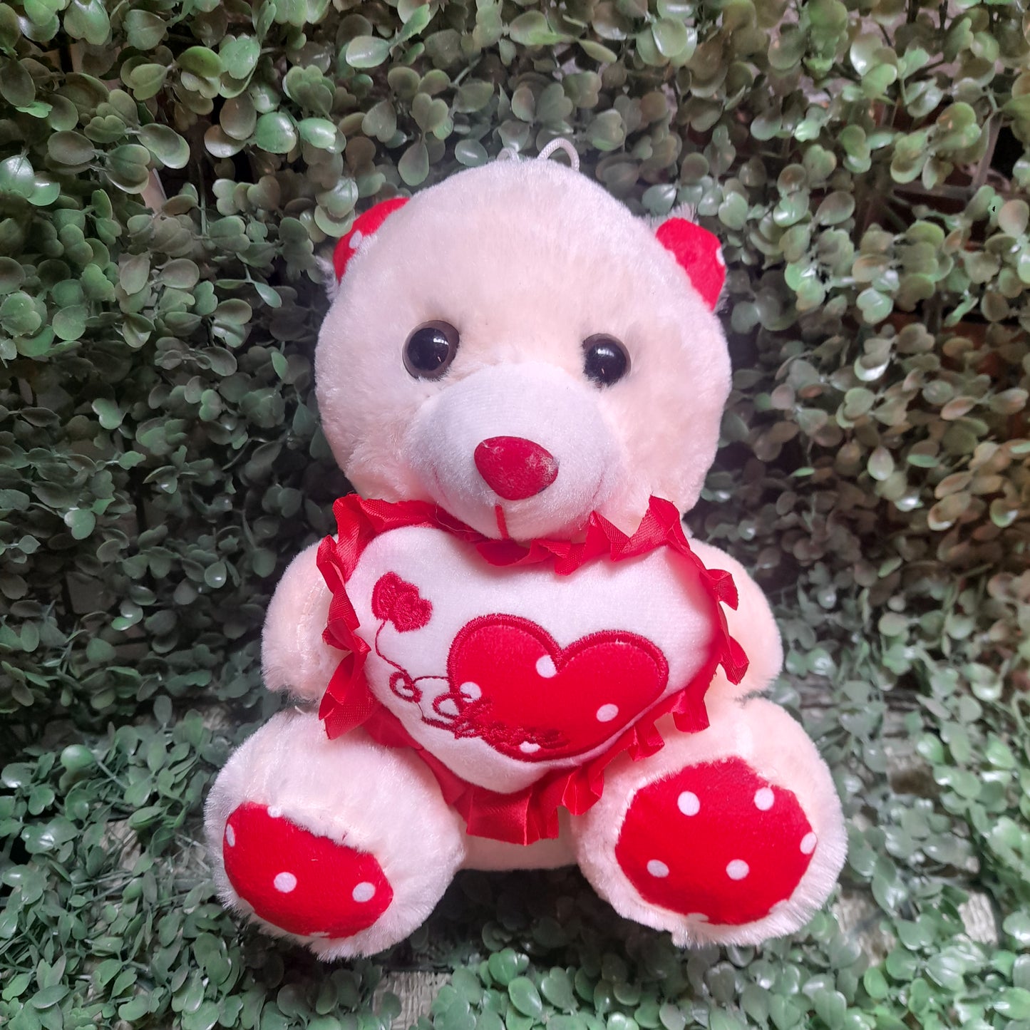 Osos de peluche 21cm