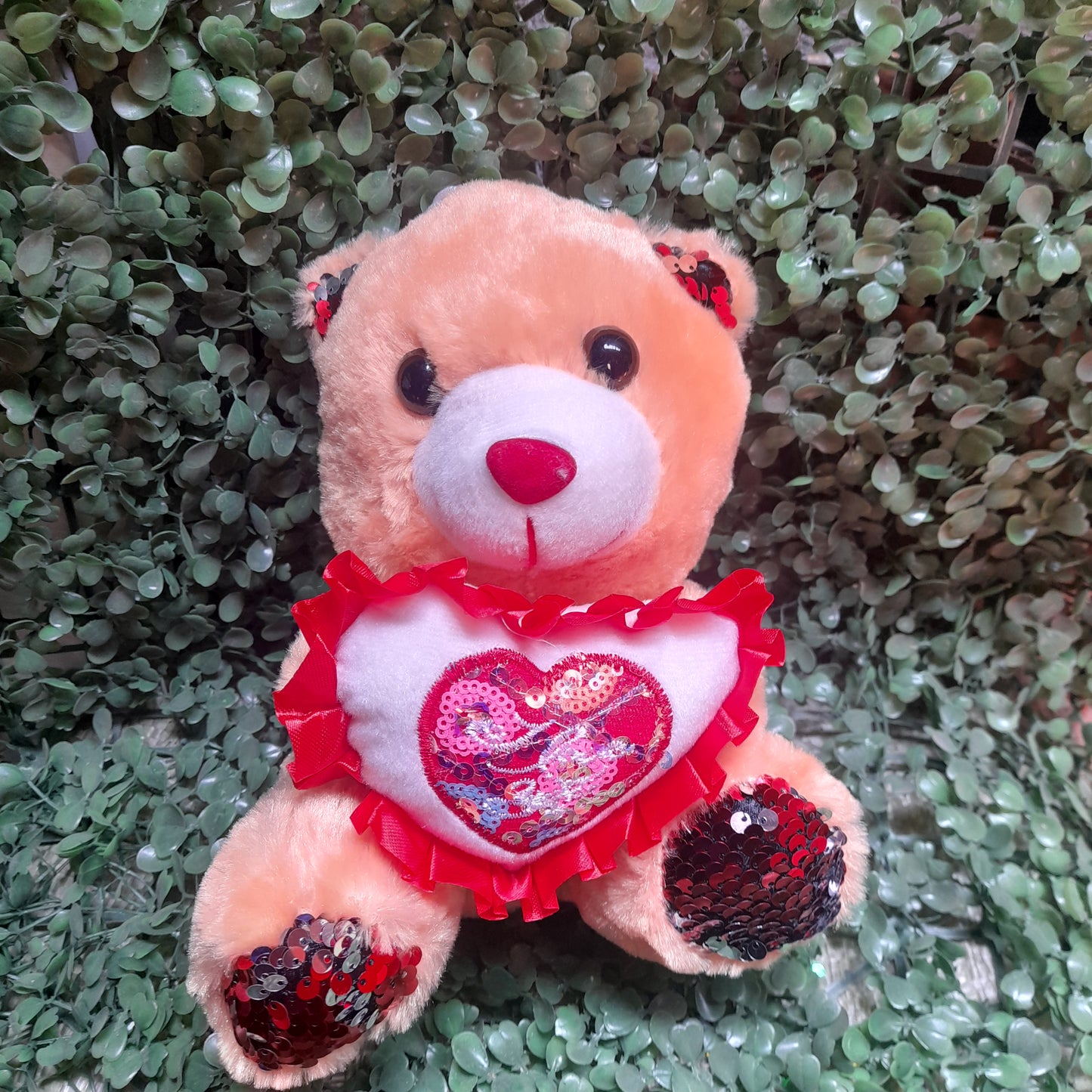 Osos de peluche 21cm
