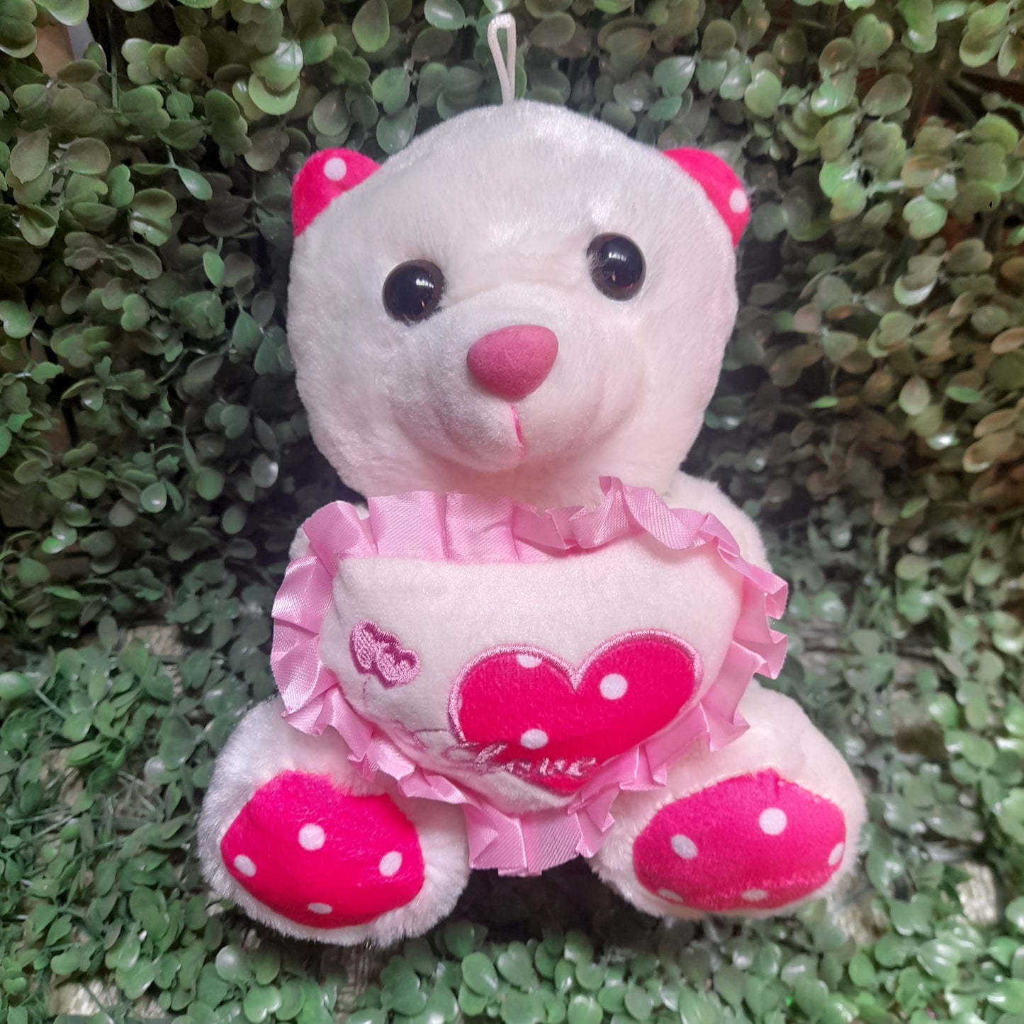 Osos de peluche 21cm