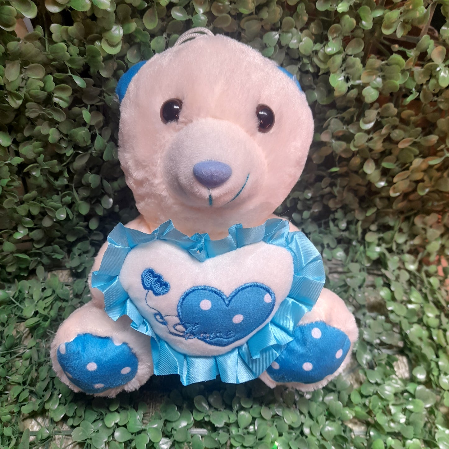 Osos de peluche 21cm