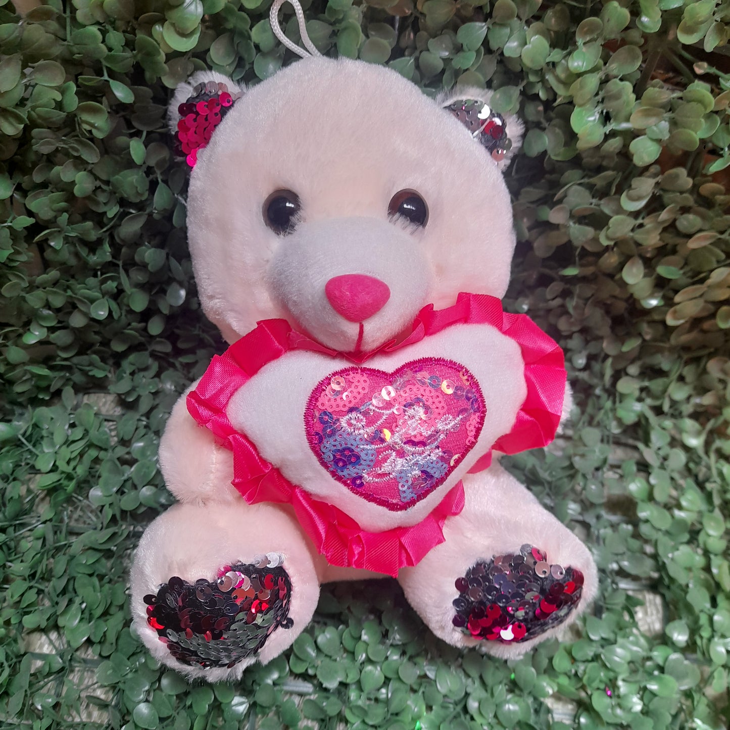 Osos de peluche 21cm