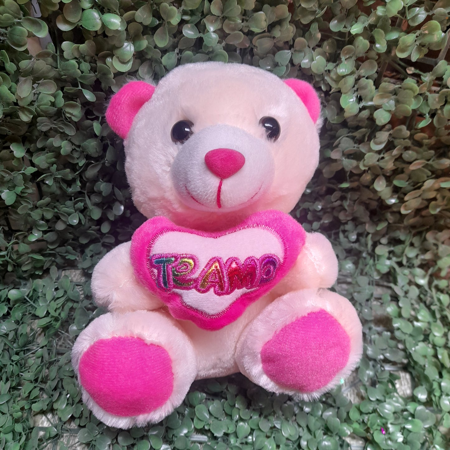 Osos de peluche 21cm