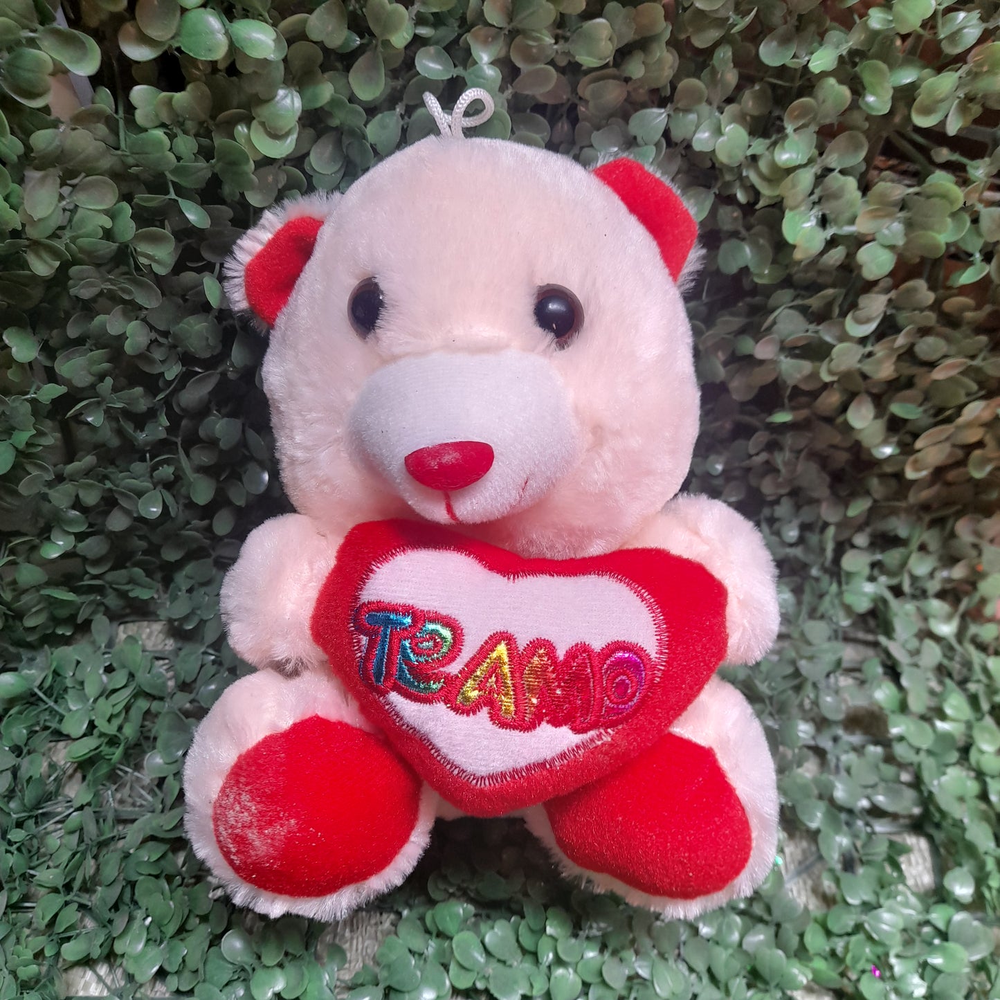 Osos de peluche 21cm