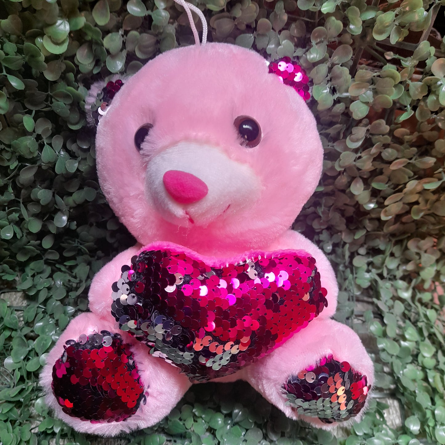Osos de peluche 21cm