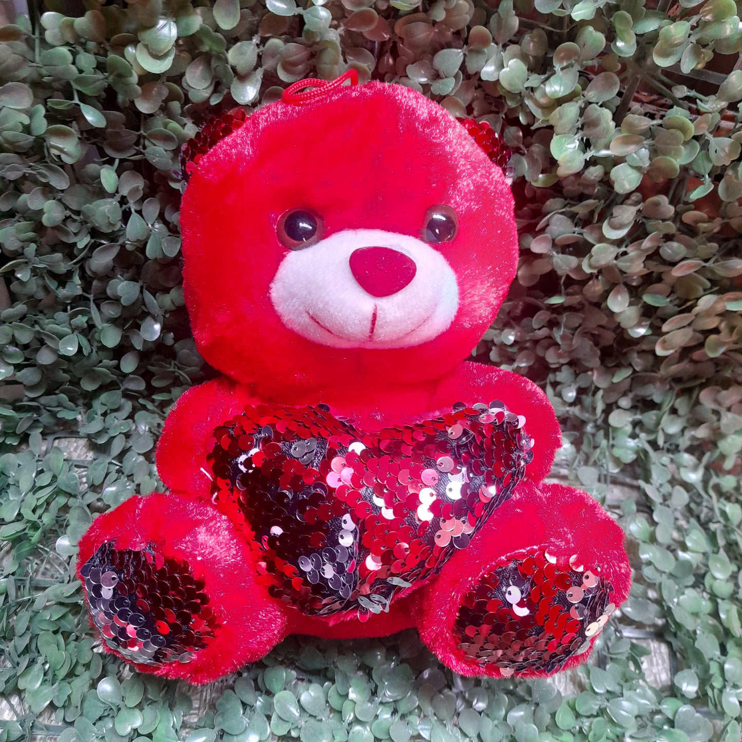 Osos de peluche 21cm