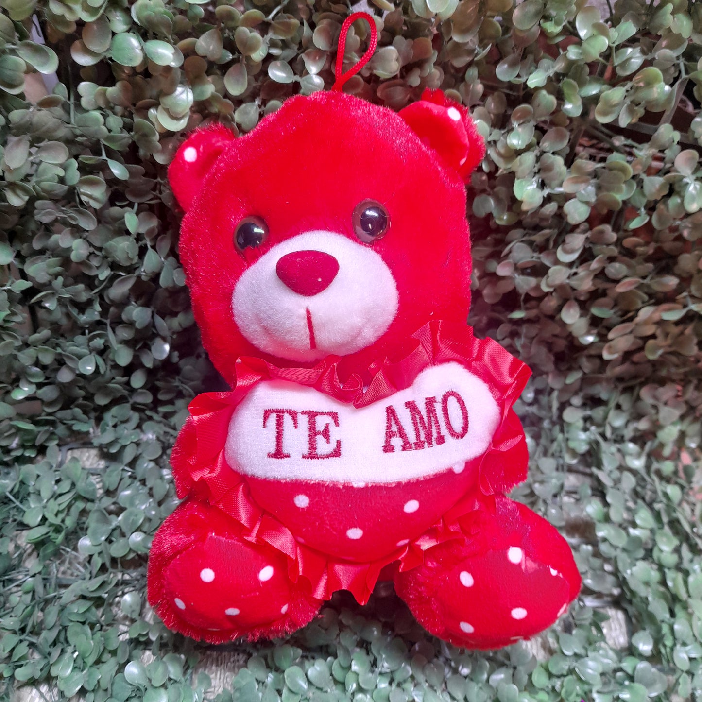 Osos de peluche 21cm